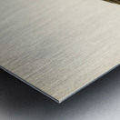 Thrush Nightingale Luscinia luscinia Metal print