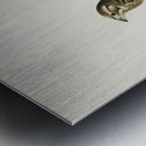 Yellowhammer Emberiza citrinella Metal print