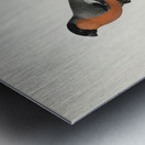 Pyrrhula Pyrrhula Metal print