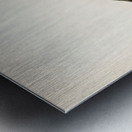 Somateria mollissima Metal print