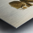 Picus canus ♂ Impression metal