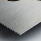 Mergus serrator Metal print