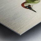 Picus viridis ♂ Metal print
