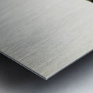 Long-tailed Duck male Harelda hyemalis Metal print