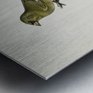 Chloris Chloris Metal print