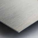 Riparia riparia Metal print