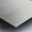 Ferruginous duck female Nyroca fuligule Metal print