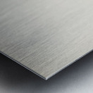 Black Stork Ciconia nigra Metal print