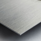 Eurasian wigeon Anasmereca penelope. Metal print