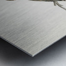 Merlin female Falco aesalon Metal print