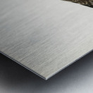 Hen Harrier female Circus cyaneus Metal print