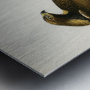 Golden Eagle Aquila chrysaetos Metal print