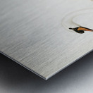 Mute Swan male Cygnus olor Metal print