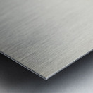 Pale Harrier Pallid Harrier female Circus macrourus Metal print