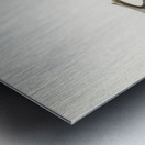 Marsh Harrier Circus aeruginosus Metal print