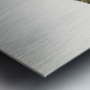 Northern Pintail Anasdafila acuta Metal print