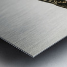 Parasitic jaeger Stercorarius parasiticus Metal print