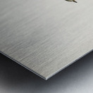 Red-breasted flycatcher ♂ Ficedula parva Metal print