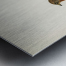 Brambling Fringilla montifringilla Metal print