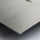 Willow Warbler Phylloscopus trochilus Metal print