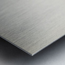 Tawny pipit Anthus campestris Metal print