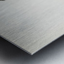 Gray heron Ardea cinerea Metal print