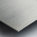 Greater Scaup Scaup female Nyroca marila Metal print