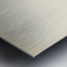 Garden warbler Sylvia borin Metal print