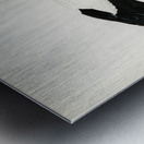 White stork ♀ Ciconia ciconia Metal print