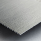 Ivory gull Pagophila eburnea Metal print