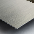 Little gull Larus minutus Metal print