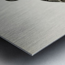 Pied avocet Recurvirostra avosetta Metal print