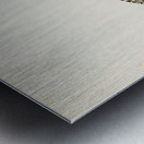 Grey plover Squatarola squatarola Metal print