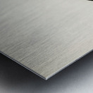 Eurasian oystercatcher ♀ Haematopus ostralegus Metal print