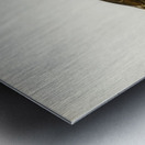 Pomarine jaeger Stercorarius pomarinus Metal print