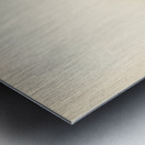 Wood Warbler Phylloscopus sibilatrix Metal print