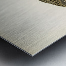 Water rail Rallus aquaticus Metal print