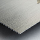 Merlin male Falco aesalon Metal print