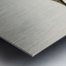 Kentish Plover charadrius alexandrinus ♂ Metal print