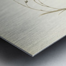 Black grouse Lyrurus tetrix Metal print