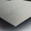 Ruff Pavoncella pugnaxr Metal print