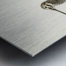 Jack snipe Lymnocryptes minimus Metal print