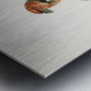 Two-barred crossbill Loxia leucoptera bifasciata Metal print