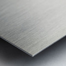 Temminck&39s Stint tringa temminckii Metal print