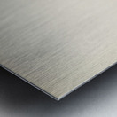 Temminck&39s Stint tringa temminckii Metal print