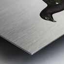 Hybrid between black grouse and western capercaillie Lyrurus tetrix ♂ x Tetrao urogallus ♀ Metal print