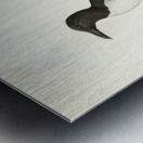 Uria troille Metal print