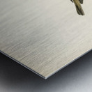 Common whitethroat Sylvia communis Metal print