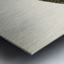 Water rail Rallus Aquaticus Metal print