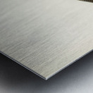 Common redshank Totanus totanus Metal print